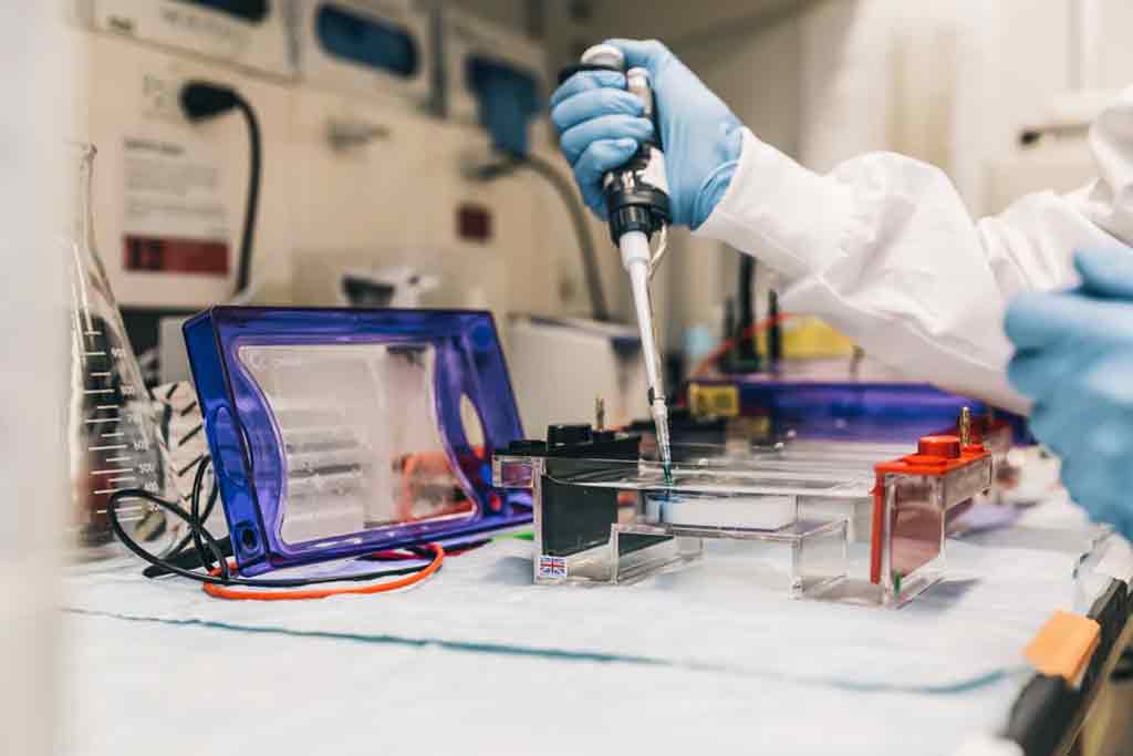 berries-health-genetics-academic-research berries health genetics academic research