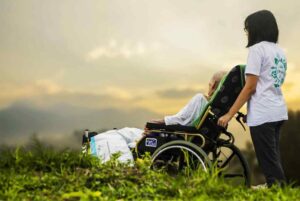 Berries Health Genetics diseases